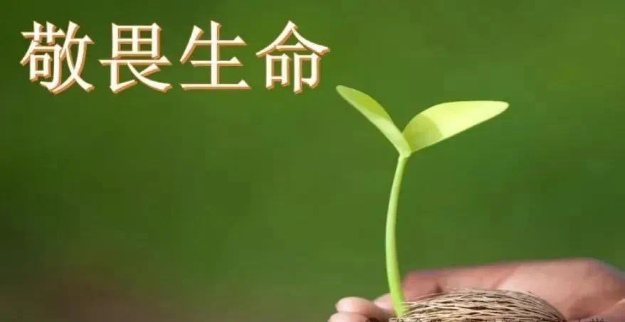 eb0c3c10ab4b864c7a44061d6361ed9.jpg
