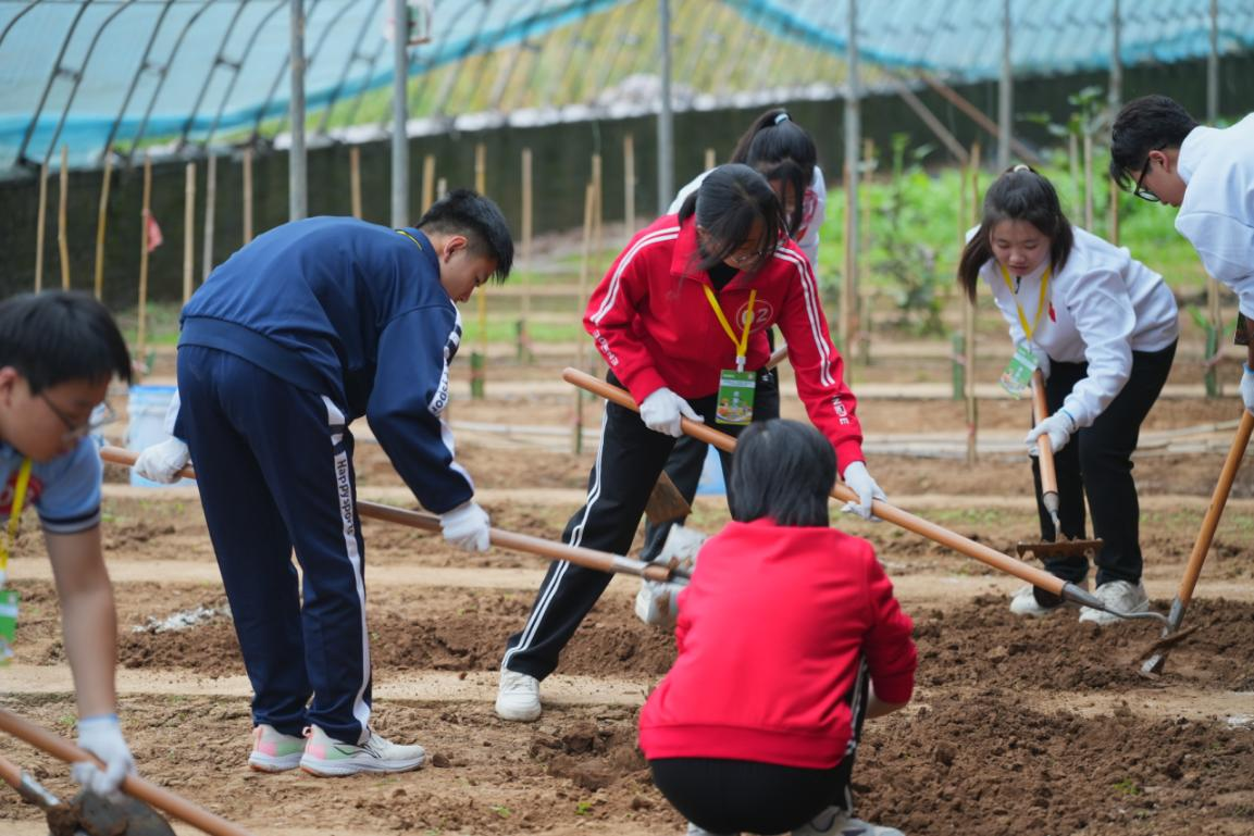 河南省第三届“五育融合 劳动先行”中小学生劳动技能大赛举办